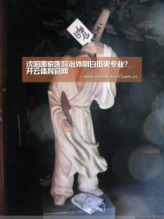 沈阳哪家医院治外阴白斑更专业?_开云体育官网(图1) 开云官网