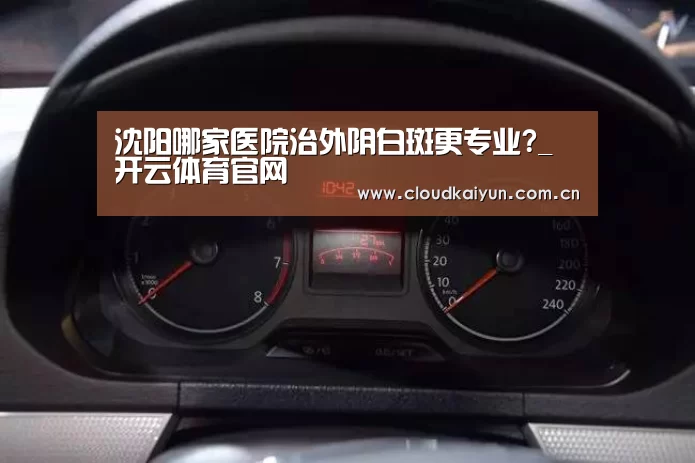 沈阳哪家医院治外阴白斑更专业?_开云体育官网(图4) 开云官网