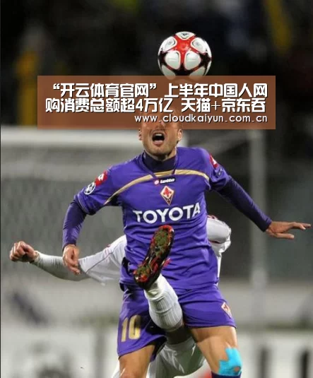 “开云体育官网”上半年中国人网购消费总额超4万亿 天猫+京东